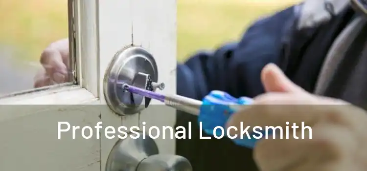  Professional Locksmith 